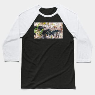 Snaking in the grass Baseball T-Shirt